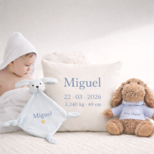 kit premium nascimento memorável